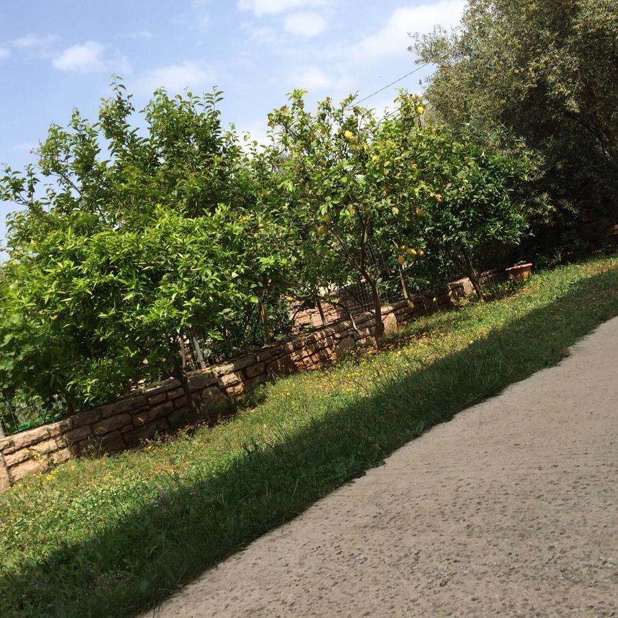 Villa Roku Εξαμίλιο Εξωτερικό φωτογραφία